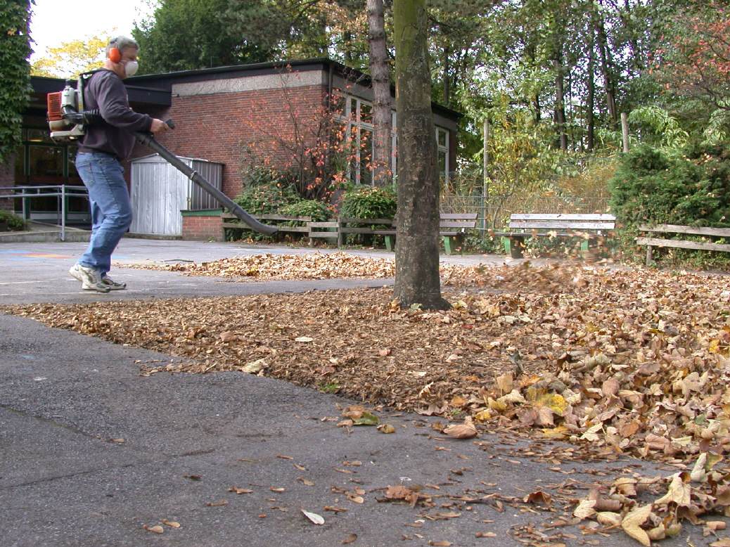 &ouml;cocolor mit Gebl&auml;se von Laub befreien